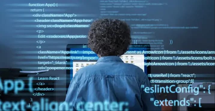 fullstack developer