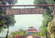 Polo Forest photo 2