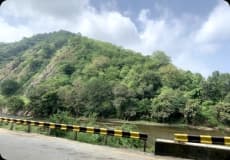 Polo Forest photo 14